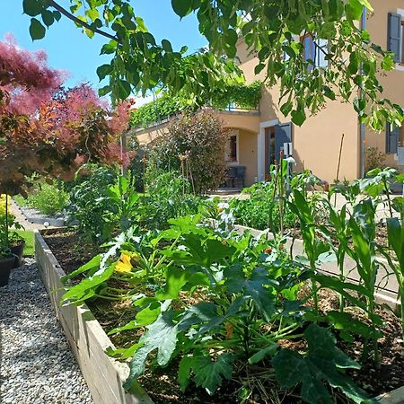Appartement Entre Sisteron Et Gorges De La Meouge " Les Hauts De Toscane " Ribiers ภายนอก รูปภาพ