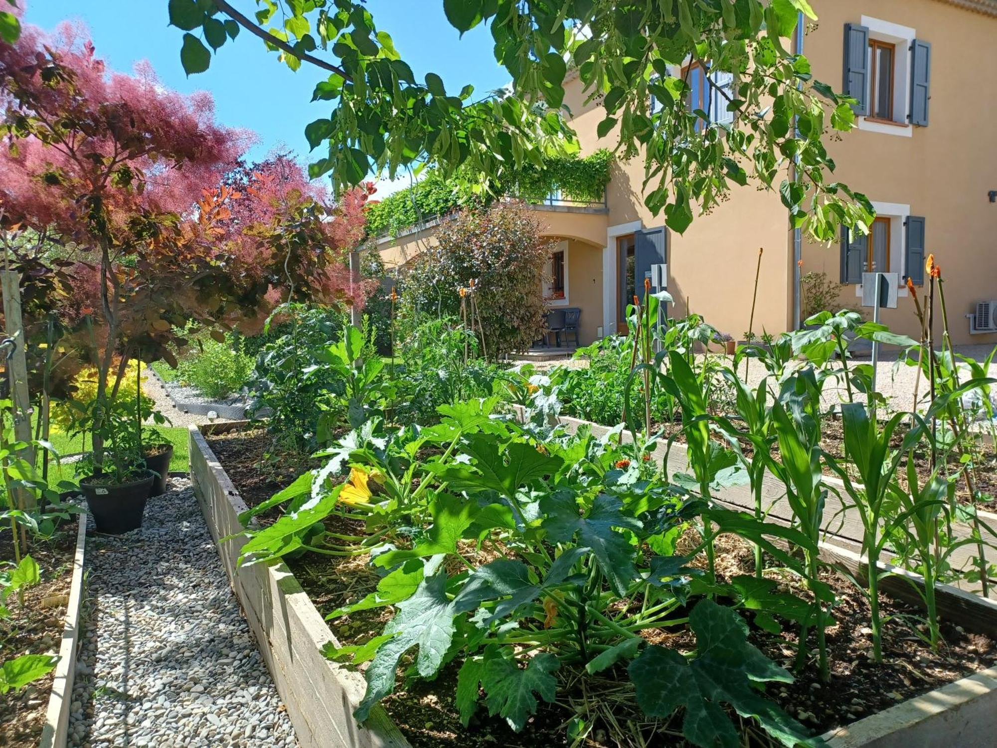Appartement Entre Sisteron Et Gorges De La Meouge " Les Hauts De Toscane " Ribiers ภายนอก รูปภาพ