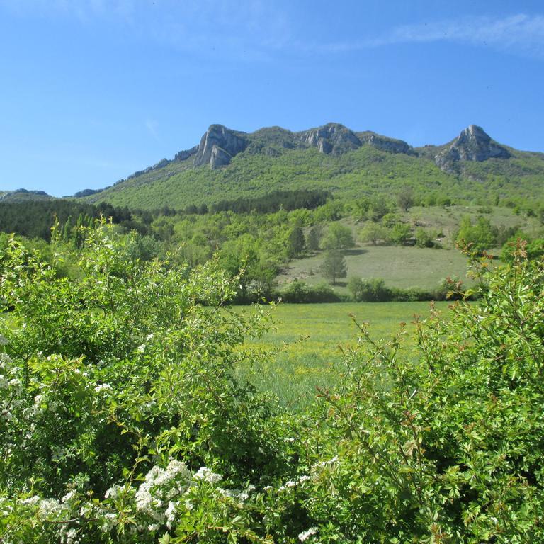 Appartement Entre Sisteron Et Gorges De La Meouge " Les Hauts De Toscane " Ribiers ภายนอก รูปภาพ